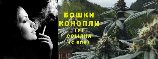 бошки Белокуриха