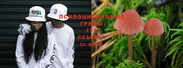 бошки Белокуриха