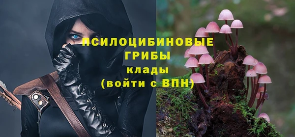 бошки Белокуриха