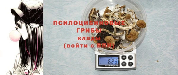 бошки Белокуриха